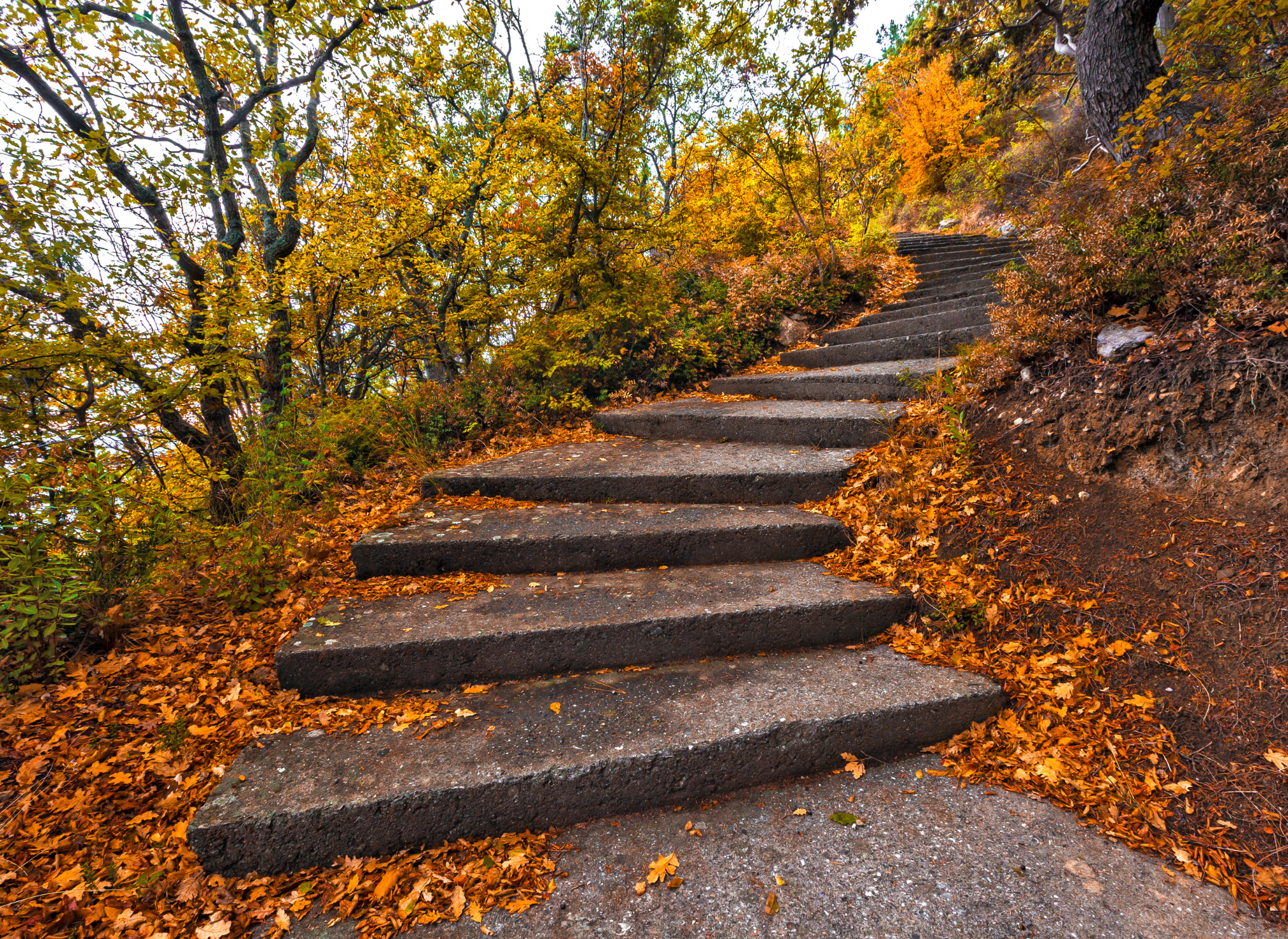 Faith, the First Step, and Not Seeing the Whole Staircase